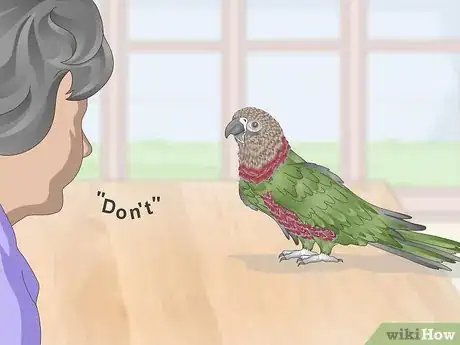 Image titled Handle an Aggressive Hawk Headed Parrot Step 7