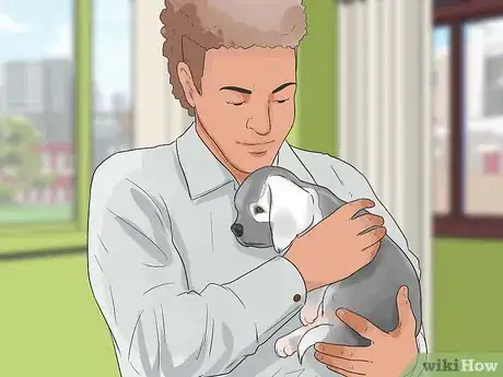 Image titled Work With Dominant Dogs Step 8