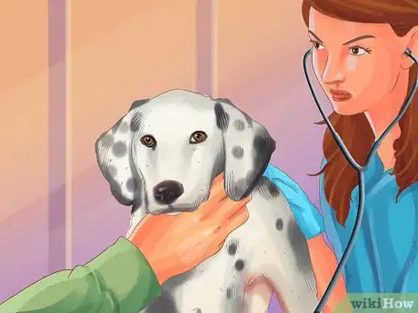 Image titled Handle Problems with Your Veterinarian Step 1