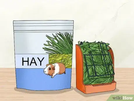 Image titled Keep Your Guinea Pigs Healthy Step 3