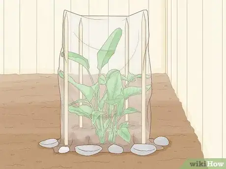 Image titled Cover Plants in the Winter Step 5