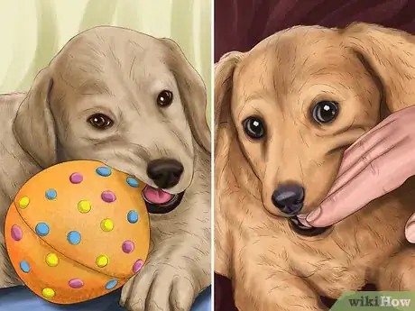 Image titled Set Ground Rules for Your Dog Step 6