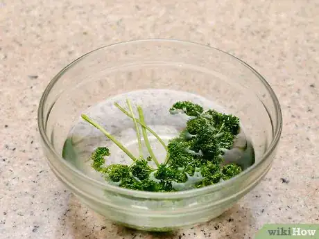 Image titled Preserve Fresh Parsley Step 10