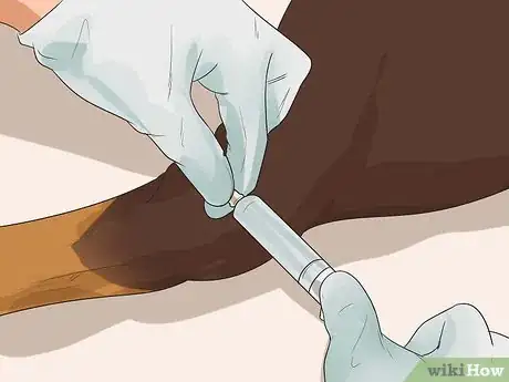 Image titled Diagnose Arthritis in Rottweilers Step 9