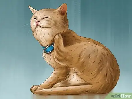 Image titled Diagnose and Treat Ear Infections in Cats Step 2