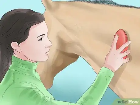 Image titled Prepare for a Horse Show Step 1