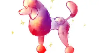 Draw a Poodle