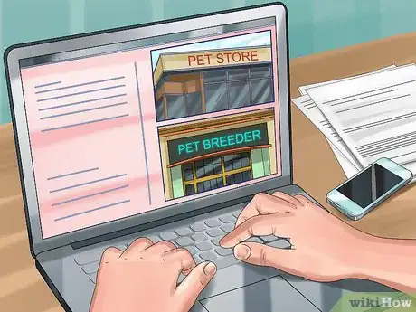 Image titled Pick a Cockatiel Step 2