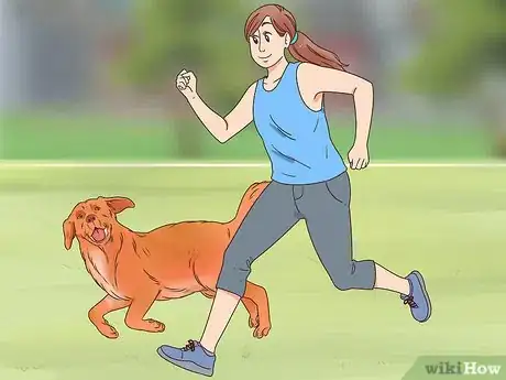 Image titled Travel with Dogs Step 3