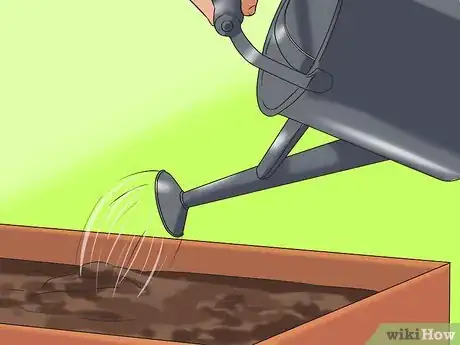 Image titled Grow Sunflowers Step 12