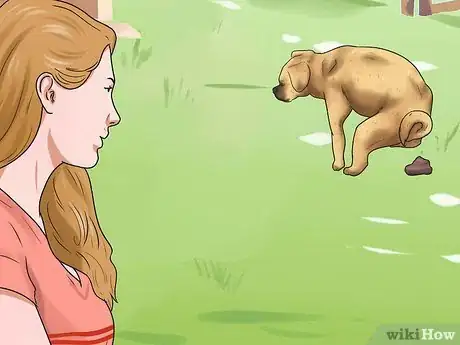 Image titled Care for Puggles Step 18