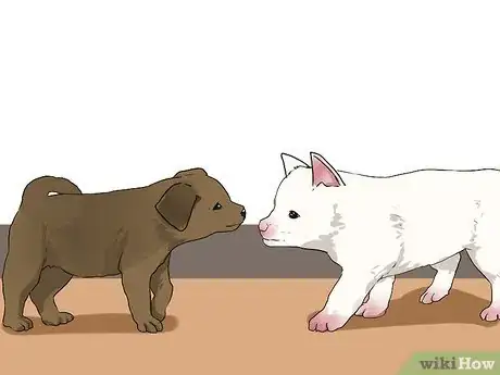 Image titled Socialize a Puppy from a One Pup Litter Step 1