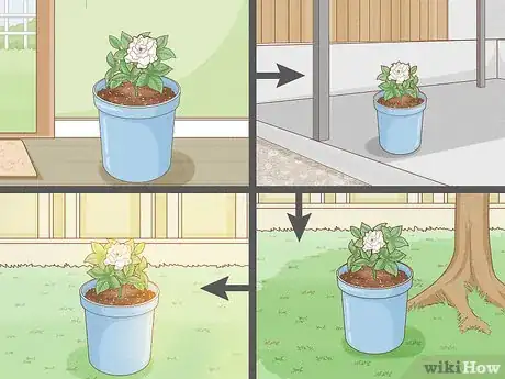 Image titled Transplant Potted Flowers Outdoors Step 20