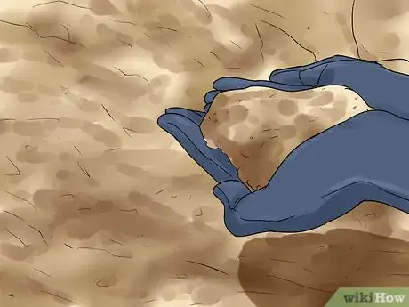 Image titled Grow Great Herbs Step 18