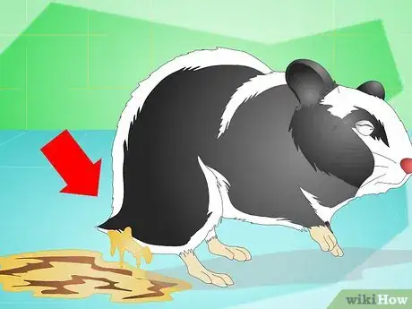 Image titled Keep a Hamster Healthy Step 11