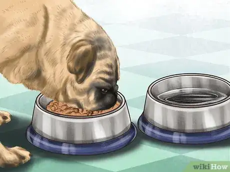 Image titled Ensure the Health of a Lost Pet After Finding It Step 2