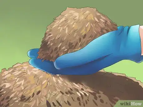 Image titled Grow Bell Peppers Step 9