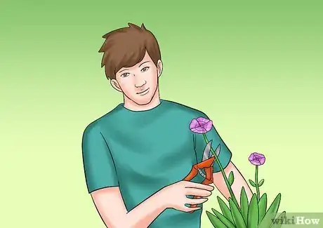 Image titled Cut from a Pansy Plant Step 5