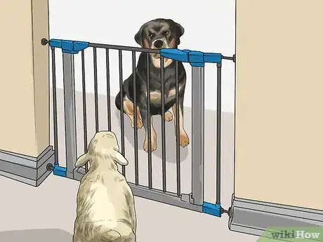 Image titled Adopt a Working Dog Step 15