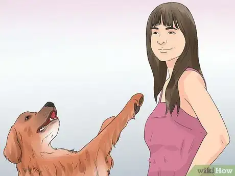 Image titled Rehabilitate an Overly Shy Dog Step 13