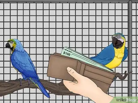 Image titled Calculate the Cost to Adopt a Parrot Step 4