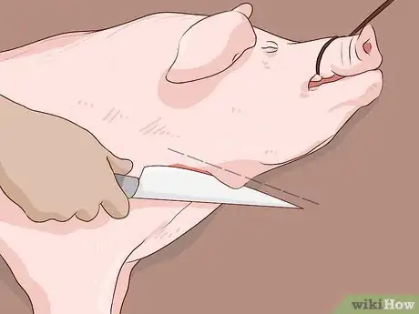 Image titled Raise Pigs for Meat Step 14