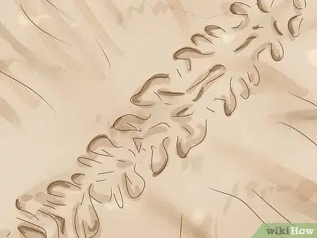 Image titled Identify Animal Tracks Step 20