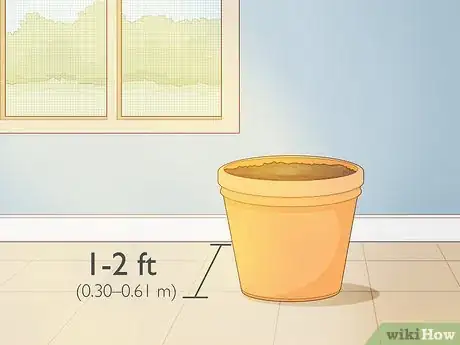 Image titled Grow Saffron Indoors Step 9