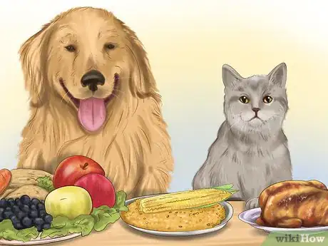 Image titled Keep Your Dog or Cat at Its Correct Weight Step 14