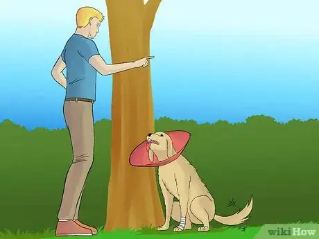 Image titled Wrap a Dog Paw Step 9