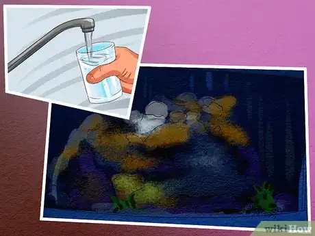 Image titled Keep Saltwater Fish Without Doing Water Changes Step 6
