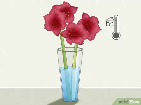 Image titled Cut Amaryllis Flower Step 4