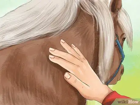 Image titled Get a Horse to Put Its Head Down Step 3
