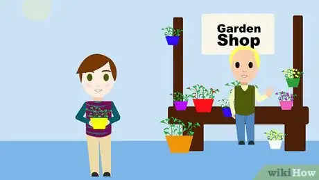 Image titled Grow Hoya Bella (Miniature Wax Plant) Step 1