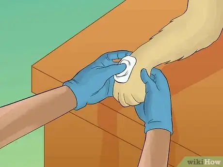 Image titled Wrap a Dog Paw Step 5