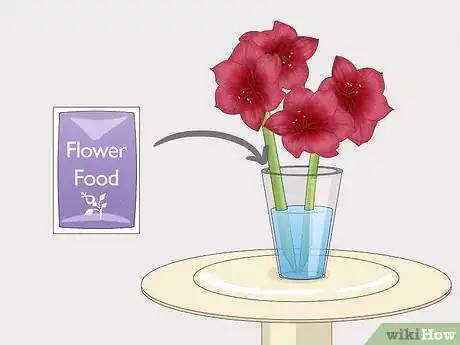 Image titled Cut Amaryllis Flower Step 7