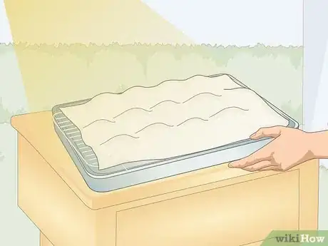 Image titled Dry Apricots Outside Step 9