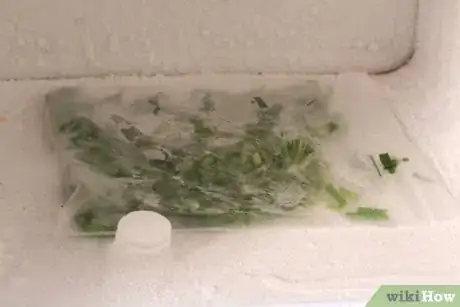 Image titled Freeze Dry Chives Step 7