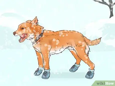 Image titled Protect Dog Paws Step 6