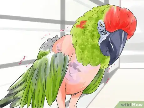 Image titled Recognize Stress in Your Pet Parrot Step 2