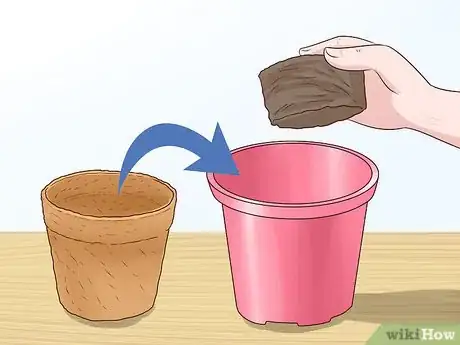 Image titled Plant Vinca Minor Step 4