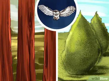 Image titled Attract Barn Owls Step 4