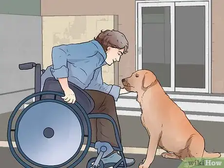 Image titled Get a Therapy Dog Step 5