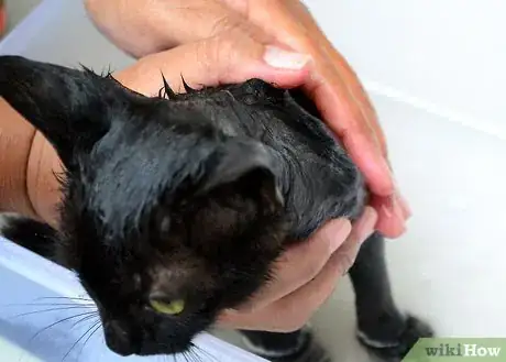 Image titled Make a Homemade Cat Spa Step 23