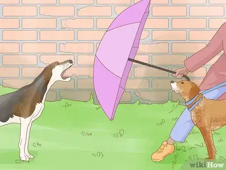 Image titled Prevent Dog Fights Step 17