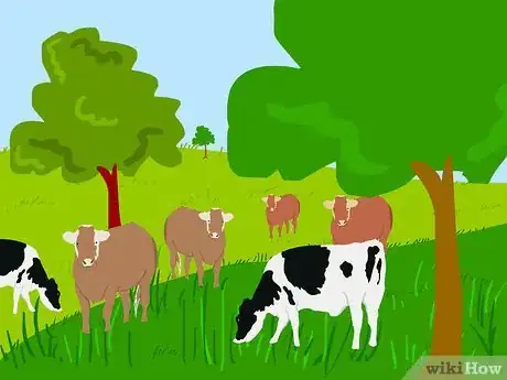 Image titled Graze Cattle on Pasture Step 6