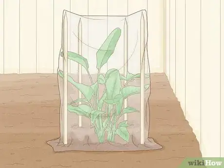 Image titled Cover Plants in the Winter Step 4