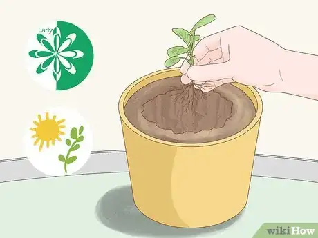 Image titled Grow Food in Winter Step 11