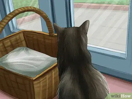 Image titled Protect Your Cat in Summer Step 4