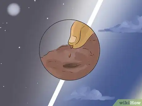 Image titled Grow Carrots in Nigeria Step 6